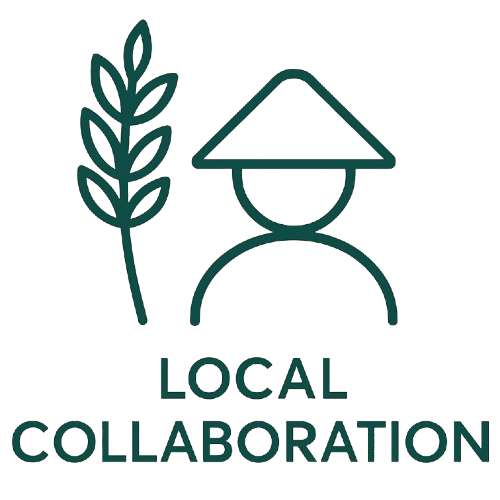 Local Collaboration