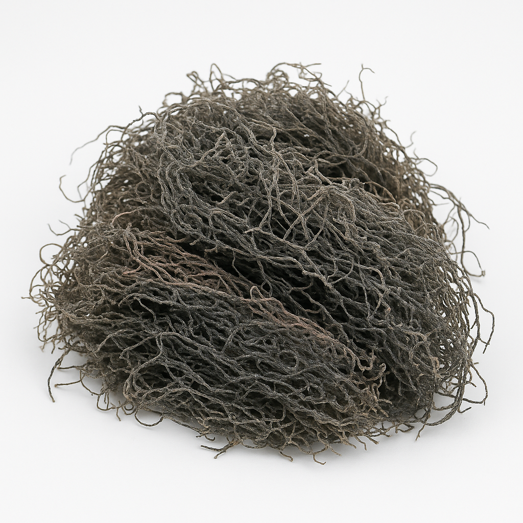 Dry Seaweed